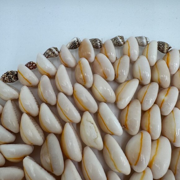 Seashell Trivet Cowrie Shell Trivet  Hot Pot, Hot Pad  Natural decor  Beach Hous - Picture 3 of 6